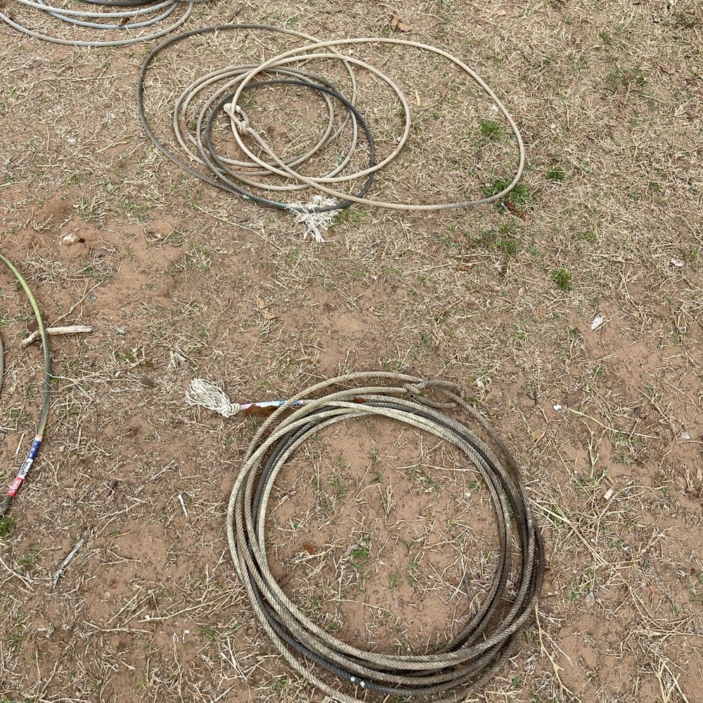 Team roping ropes and breakaway ropes classic and cactus brand